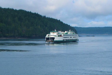 ferry boat on blue water near forested land mass